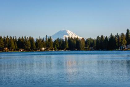 Mt. Rainier view from Lake Morton - image 5