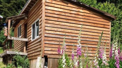 Hollis Creek Cabin - image 5