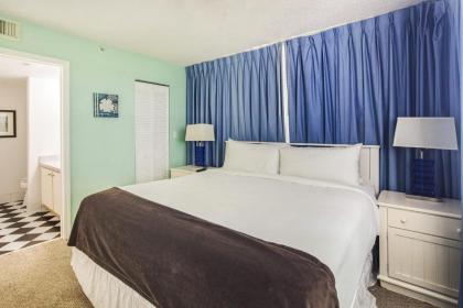 Tortuga Suite - image 14