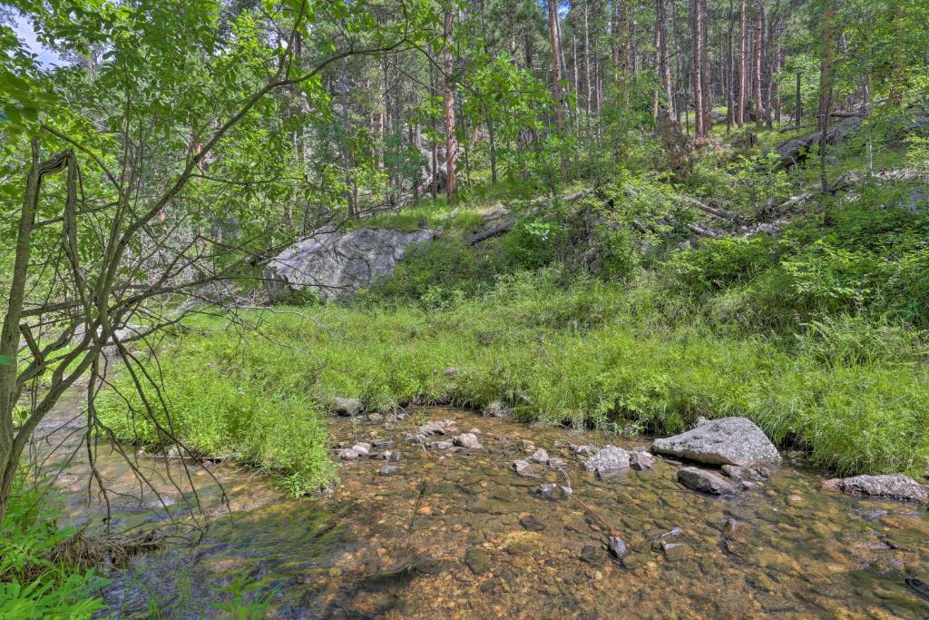 Historic Grizzly Gulch Cabin Near Mt Rushmore! - image 4