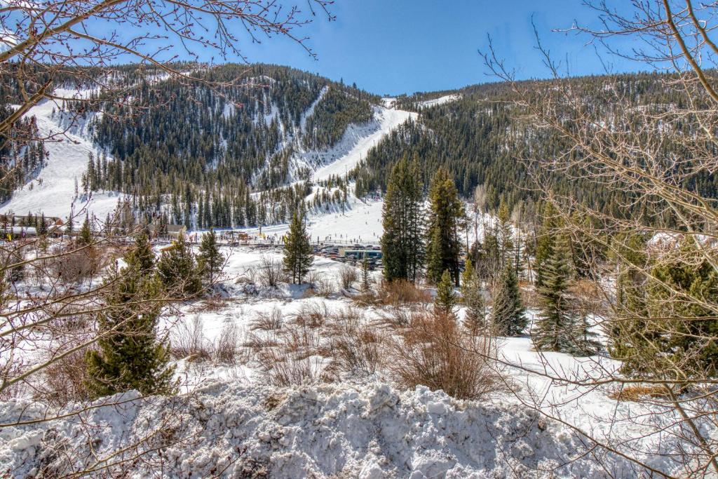 Tenderfoot Lodge 2621 - image 4