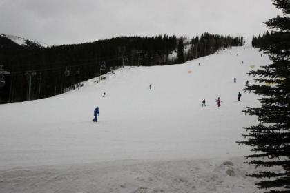 Lone Eagle 3000 - image 4