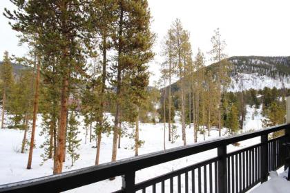 Pines 2074 - image 4