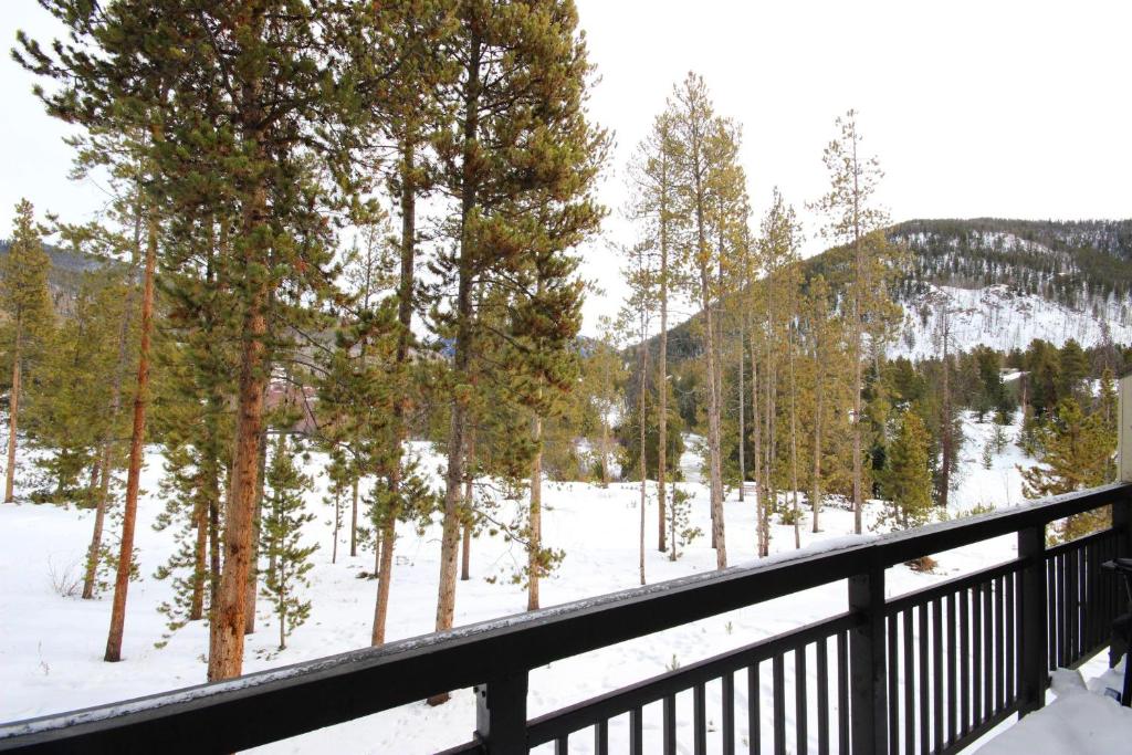 Pines 2074 - image 4
