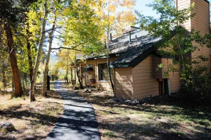 Holiday homes in Keystone Colorado