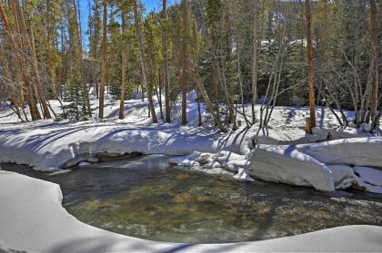 Keystone Mountain Home on Snake River with Hot Tub! - image 5