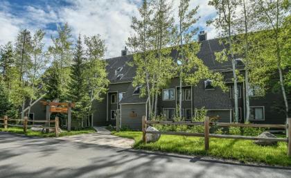 Pines 2167 - image 14