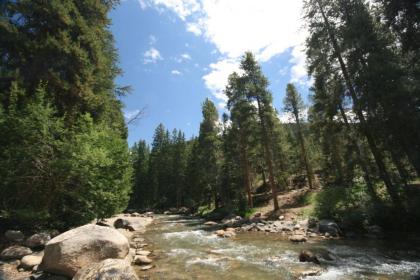 Pines 2167 - image 18
