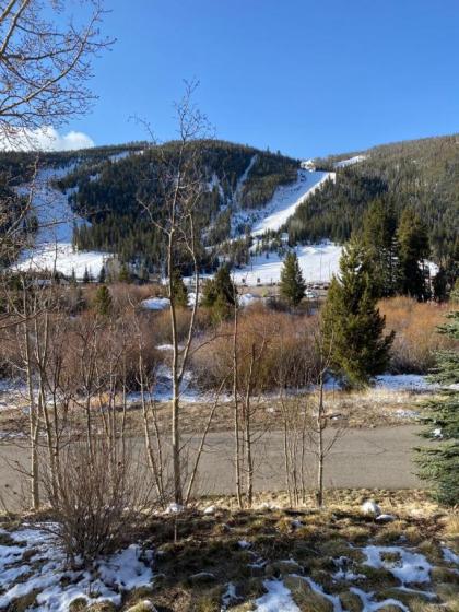 Tenderfoot Lodge 2604 - image 3