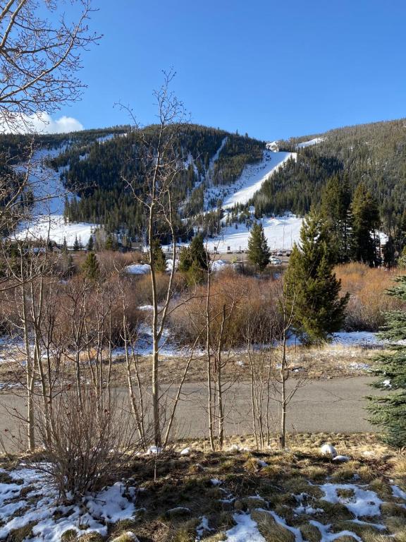 Tenderfoot Lodge 2604 - image 3