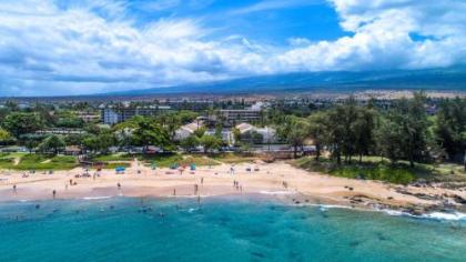 Maui Banyan