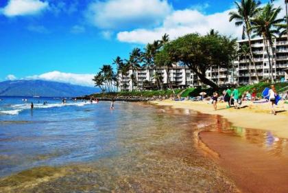 Kamaole Nalu 504 - image 2