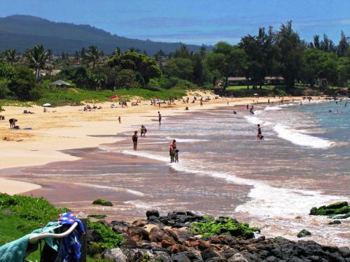 Kamaole Nalu 504 - image 4