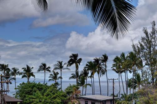 Maui Vista 1313 - image 4