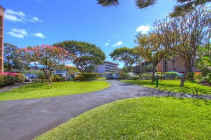 Maui Vista 2220 - image 2