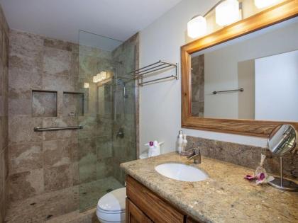 Kihei Kai Nani Vacation One Bedroom Condos - image 16