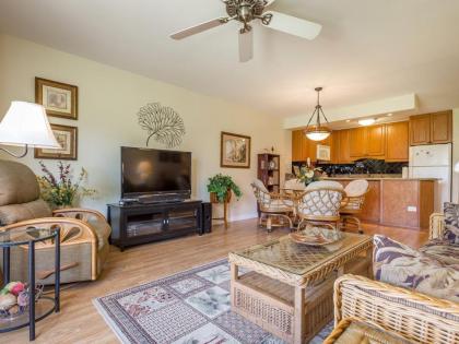 Kihei Kai Nani Vacation One Bedroom Condos - image 4