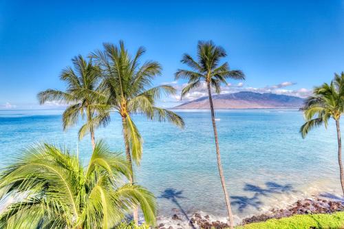 Royal Mauian 615 - main image