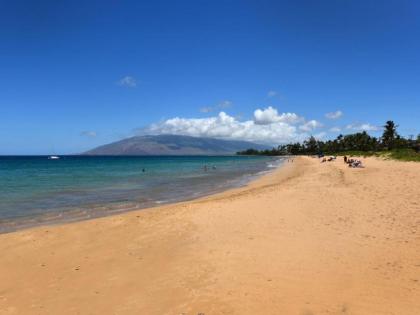 Royal Mauian #104 by Ali'i Resorts - image 12