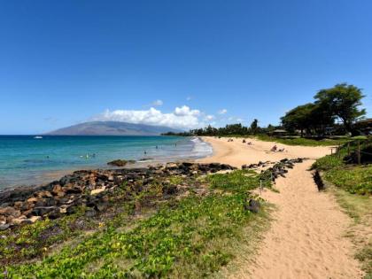 Royal Mauian #104 by Ali'i Resorts - image 8