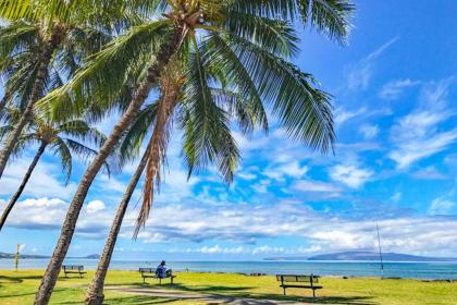 Island Surf 601A - image 9