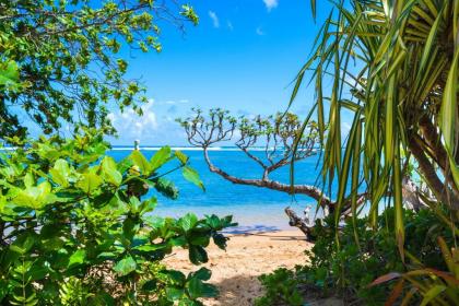 Anini Ohana Hale tVNC#4255 Kilauea Hawaii