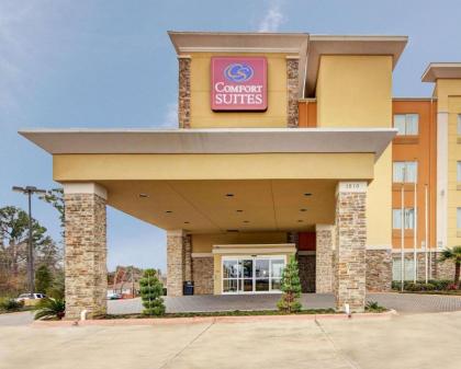 Comfort Suites Kilgore - image 8