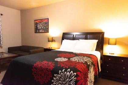 Premium Inn and Suites - image 6