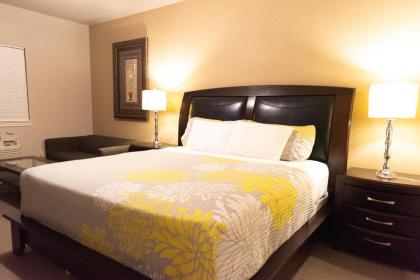 Premium Inn and Suites - image 8