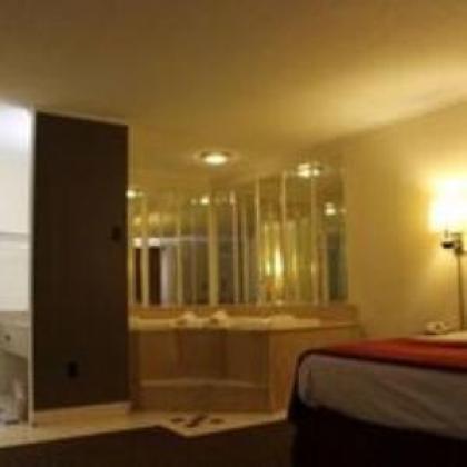 Lake View Inn & Suites - image 10