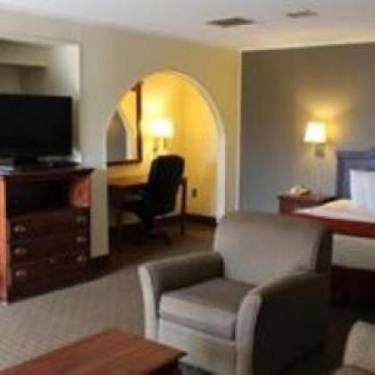 Lake View Inn & Suites - image 3