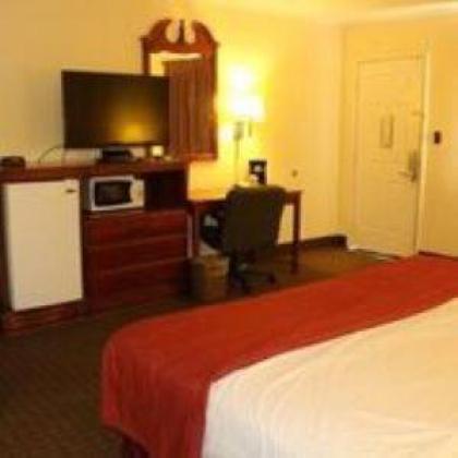 Lake View Inn & Suites - image 6