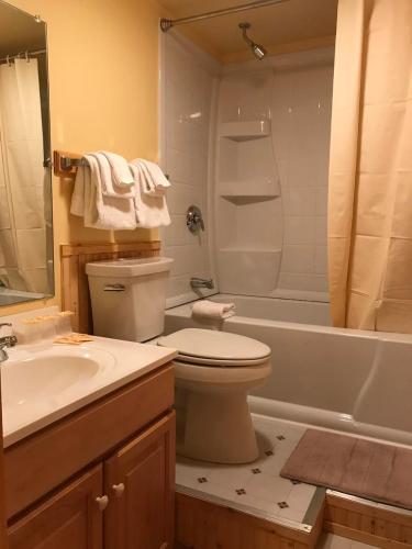 Mountain Sports Inn - image 4
