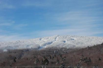 Mountain Green Condos at Killington - image 5