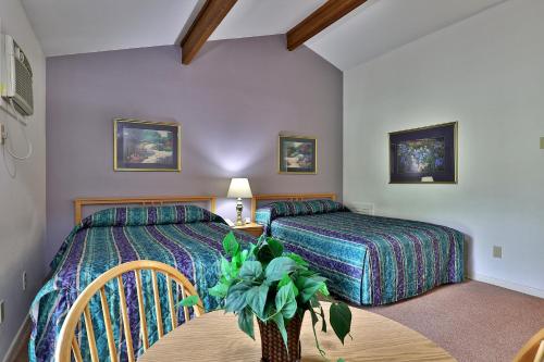 Cedarbrook Standard Hotel Room 204 - image 5