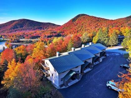 Charming Townhome Pico Mtn Ski-In and Ski-Out Access!