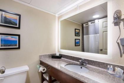 Comfort Inn Kings Mountain - image 8