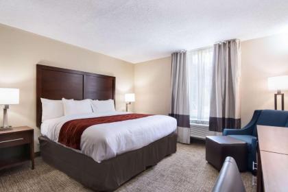 Comfort Inn Kings Mountain - image 9