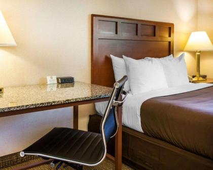 Comfort Inn Kirkland - image 14