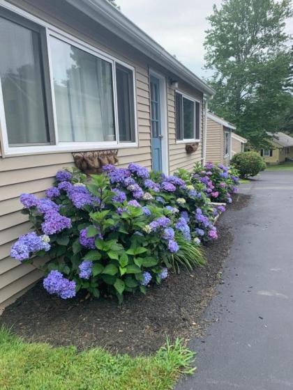 Northeaster Motel - image 14