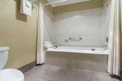Cerulean Hotel - image 10