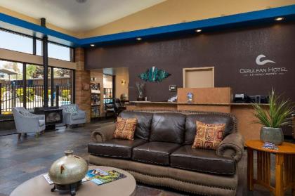 Cerulean Hotel - image 14