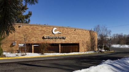 Cerulean Hotel - image 3