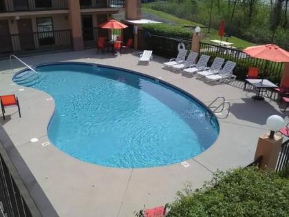 Super 8 by Wyndham Knoxville West/Farragut - image 5