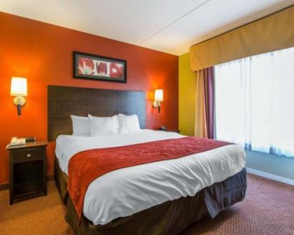 Comfort Suites East Knoxville - image 3