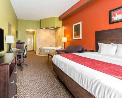 Comfort Suites East Knoxville - image 4