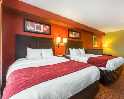 Comfort Suites East Knoxville - image 5
