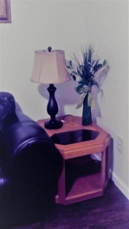 Cheap East Knoxville Basement Studio - image 10
