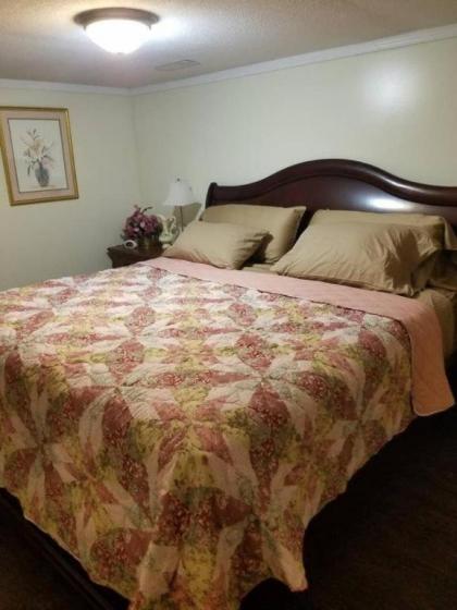 Cheap East Knoxville Basement Studio - image 3