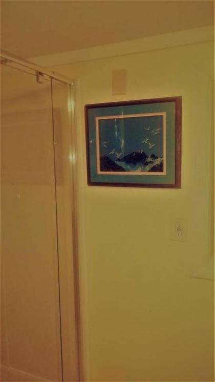 Cheap East Knoxville Basement Studio - image 7